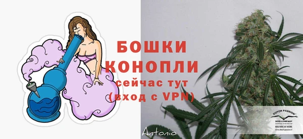 jwh Богородск