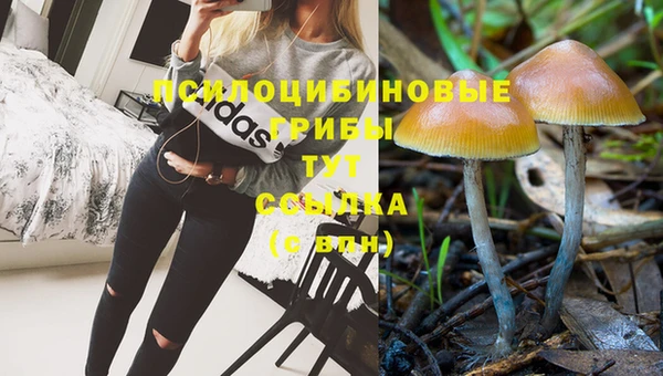 меф Балахна