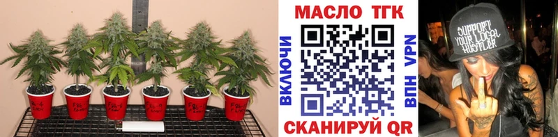 Купить где  Мензелинск  Дистиллят ТГК THC oil 